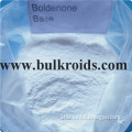 Human Growth Hormone Steroids powder Boldenone Cypionate